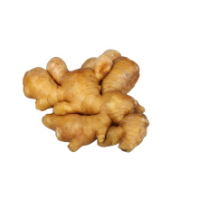 Mature frozen fresh ginger cheap price